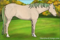 Horse Color:Painted Perlino 