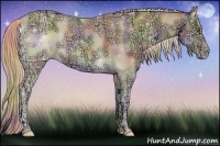 Horse Color:Nacre Gold Cream Champagne Ice Onyx 