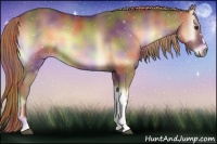 Horse Color:Nacre Red Onyx 