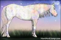 Horse Color:Nacre Cremello Ice Onyx 