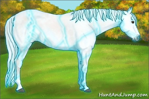 Horse Color:Gray Thunderstruck White Spotted Bay