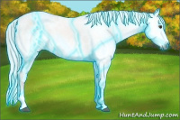 Horse Color:Gray Thunderstruck White Spotted Bay