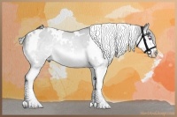 Horse Color:White Spotted Silver Bay Chinchilla Dun Splash 