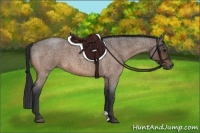 Horse Color:Buckskin Roan 