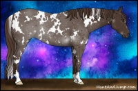 Horse Color:White Spotted Liver Chestnut