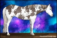 Horse Color:White Spotted Liver Chestnut Splash 