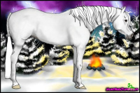 Horse Color:Gray White Spotted Bay Ice