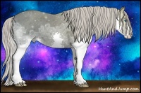 Horse Color:Silver Black Ice Splash