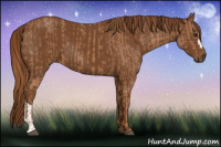 Horse Color:Chestnut and Gray Chestnut