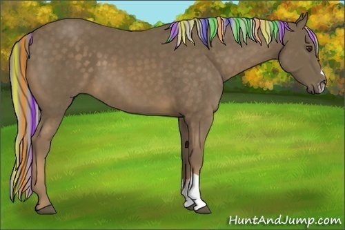 Horse Color:Painted Chocolate Palomino 