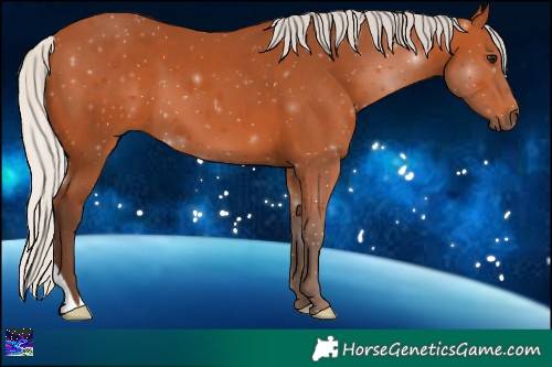 Horse Color:Silver Brown 