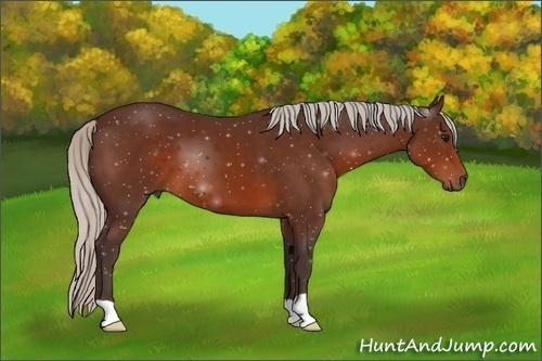 Horse Color:Silver Brown 