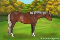 Horse Color:Silver Brown 