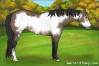 Horse Color:Brown Dun Frame