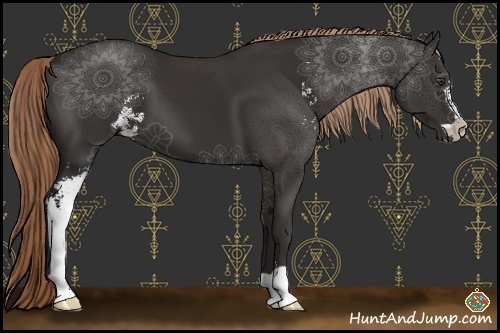 Horse Color:Liver Chestnut Sabino 