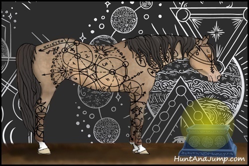 Horse Color:Sable Champagne 