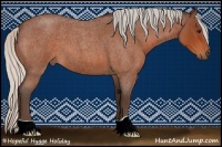 Horse Color:Silver Bay Roan 