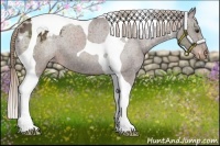 Horse Color:Liver Chestnut Tobiano Varnish