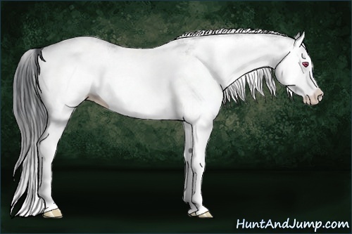 Horse Color:White Spotted Bay Chinchilla Splash 