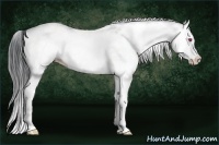 Horse Color:White Spotted Bay Chinchilla Splash 