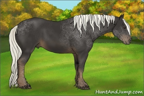 Horse Color:Liver Chestnut 