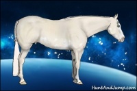 Horse Color:Cremello Splash Frame 