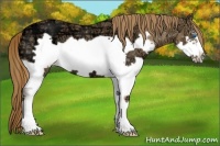 Horse Color:Chestnut Ice Splash Frame