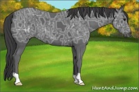 Horse Color:Smoky Black Ice 
