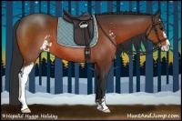 Horse Color:Bay Sabino 