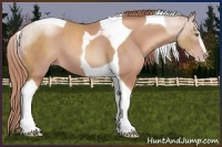Horse Color:Gold Champagne Sabino Tobiano