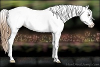 Horse Color:Chestnut Frame Blanket 