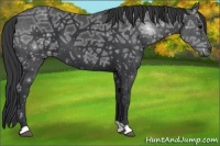 Horse Color:Black Ice 
