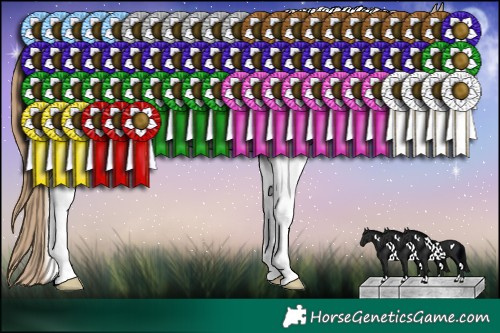 Horse Color:White Spotted Grullo Pearl Tobiano Rabicano