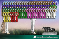 Horse Color:White Spotted Grullo Pearl Tobiano Rabicano 