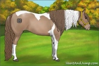 Horse Color:Black Pearl Tobiano 