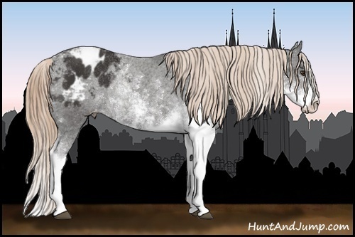 Horse Color:Liver Chestnut Sabino Varnish Rabicano 