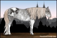 Horse Color:Liver Chestnut Sabino Varnish Rabicano 