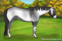 Horse Color:Smoky Blue Onyx Chinchilla Rabicano