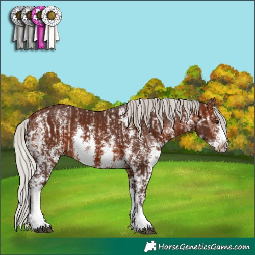 Horse Color:Silver Brown Dun Sabino Splash Frame Rabicano  and Silver Brown Sabino Splash Rabicano 