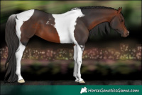 Horse Color:Bay Tobiano 