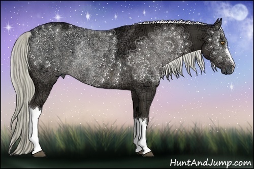 Horse Color:Liver Chestnut Ice Rabicano 