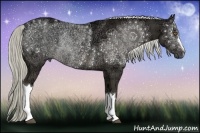 Horse Color:Liver Chestnut Ice Rabicano 
