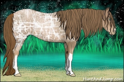 Horse Color:Liver Chestnut Ice Pearl 