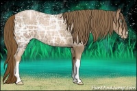 Horse Color:Liver Chestnut Ice Pearl 