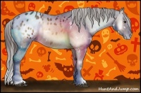 Horse Color:White Spotted Bay Onyx Appaloosa