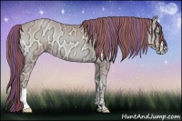 Horse Color:Painted Buckskin Ice Pearl Onyx 