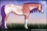 Horse Color:Watercolor Bay Ice Onyx 
