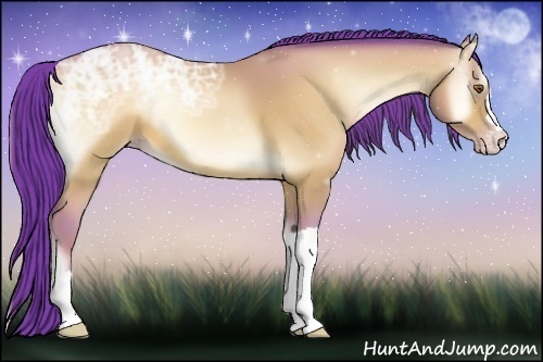 Horse Color:Watercolor Amber Champagne Ice Onyx 