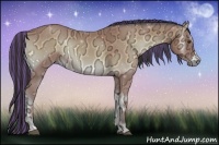 Horse Color:Painted Buckskin Ice Onyx