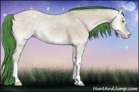 Horse Color:Watercolor Amber Champagne Ice Onyx 